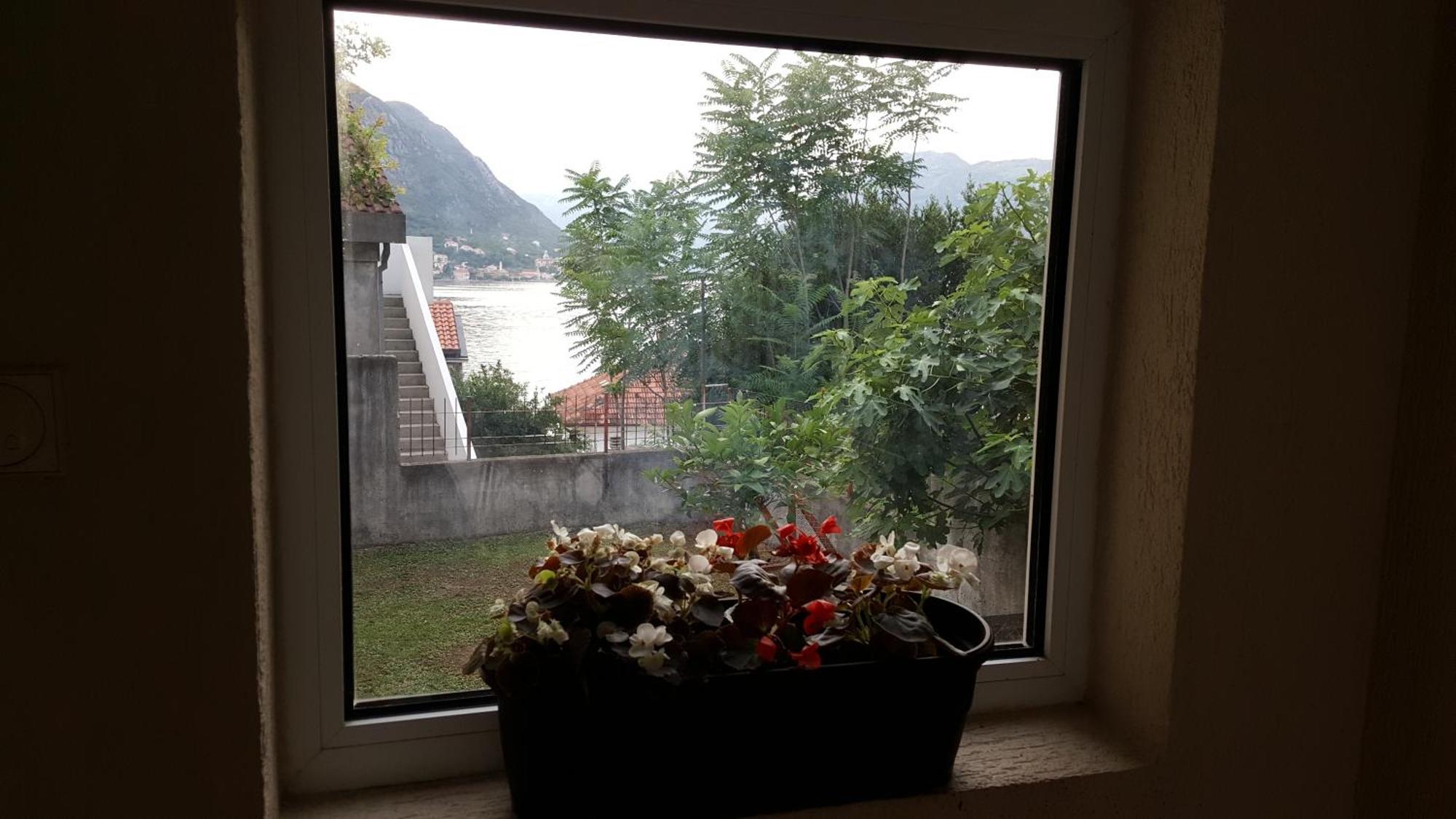 Apartments Vjera Kotor Værelse billede